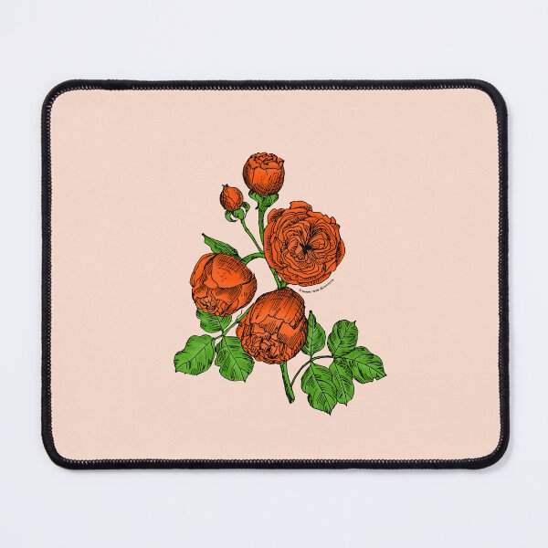 Item preview, Orange Pompon Rose Bloom Very Full 40+ Petals In 3+ Rows designed and sold by Rachael Taylor.