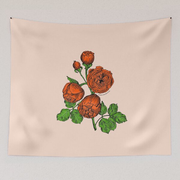 Item preview, Orange Pompon Rose Bloom Very Full 40+ Petals In 3+ Rows designed and sold by zenithcreative.