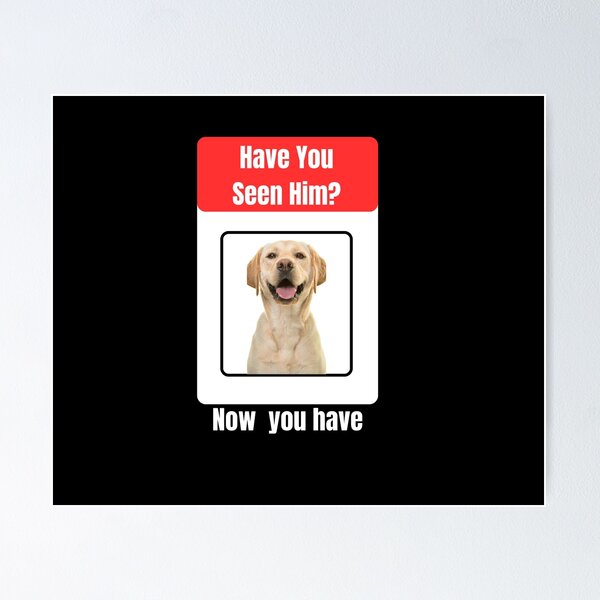 Item preview, Have You Seen Him?  designed and sold by Adilessayeh.