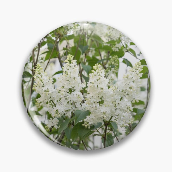 Item preview, Sweet Springtime Aromatherapy with White Lilac designed and sold by Georgia Mizuleva.