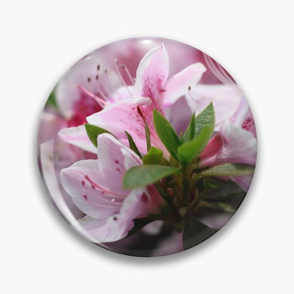 Item preview, Azaleas. designed and sold by Pixxowl.