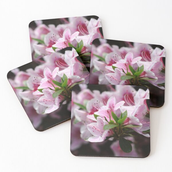 Item preview, Azaleas. designed and sold by Pixxowl.