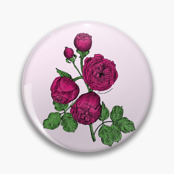 Item preview, Deep Pink Pompon Rose Bloom Very Full 40+ Petals In 3+ Rows designed and sold by Rachael Taylor.