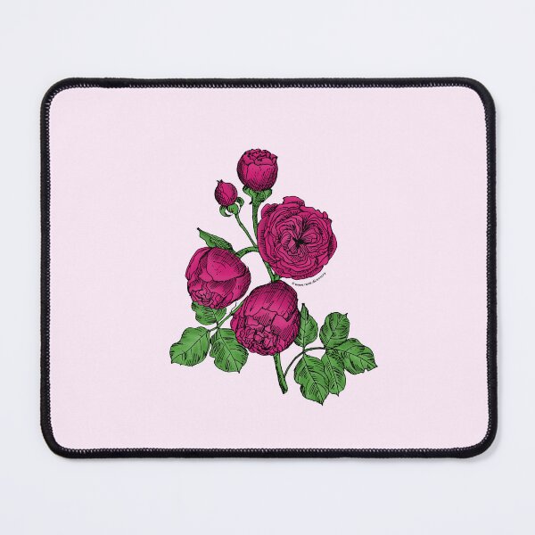 Item preview, Deep Pink Pompon Rose Bloom Very Full 40+ Petals In 3+ Rows designed and sold by Rachael Taylor.