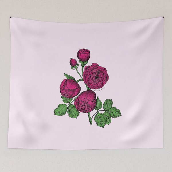 Item preview, Deep Pink Pompon Rose Bloom Very Full 40+ Petals In 3+ Rows designed and sold by zenithcreative.