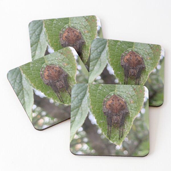 Item preview, Spider designed and sold by Hyeppo.