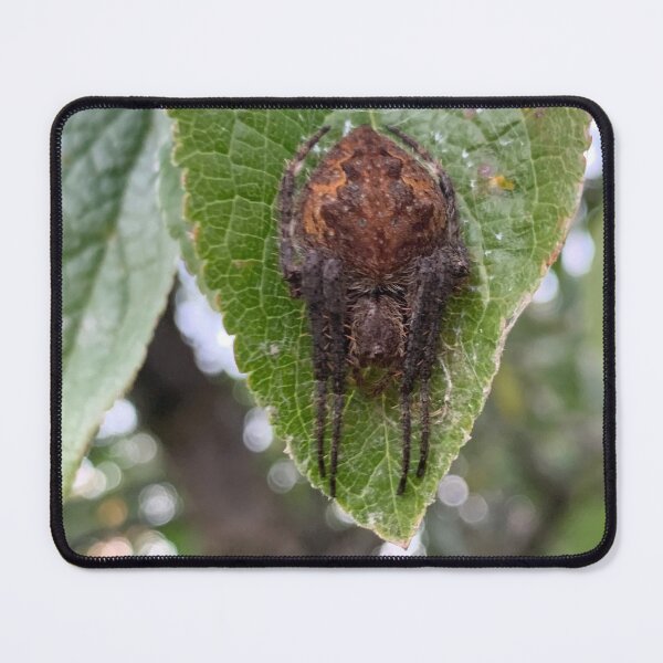 Item preview, Spider designed and sold by Hyeppo.