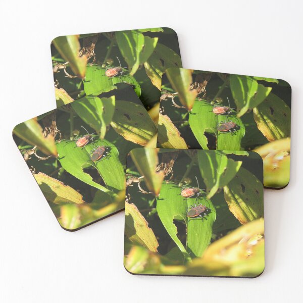 Item preview, Two bugs on a leaf designed and sold by greentiger1.