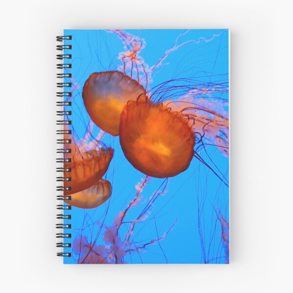 Aperçu de l'œuvre Pacific Sea Nettle Jellyfish créée et vendue par Deb22.