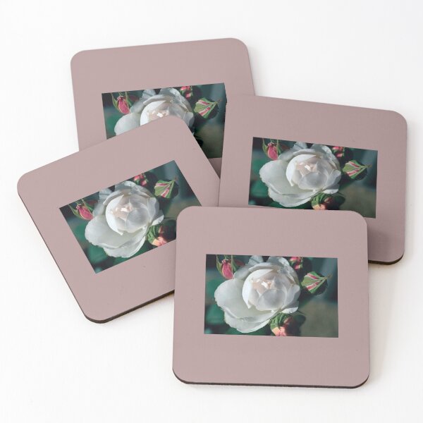 Item preview, white rose and buds designed and sold by Pauline  Whitburn.