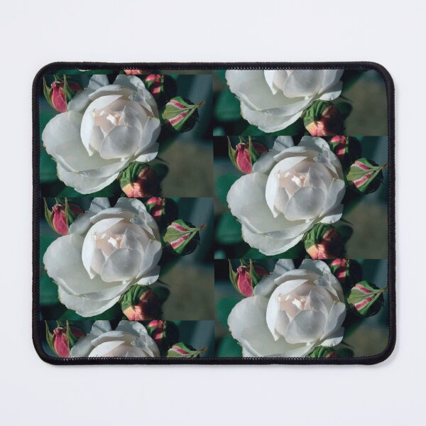 Item preview, white rose and buds designed and sold by Pauline  Whitburn.