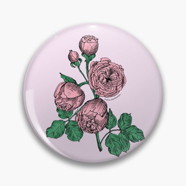 Item preview, Light Pink Pompon Rose Bloom Very Full 40+ Petals In 3+ Rows designed and sold by Rachael Taylor.