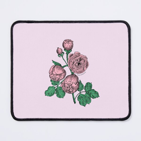 Item preview, Light Pink Pompon Rose Bloom Very Full 40+ Petals In 3+ Rows designed and sold by Rachael Taylor.