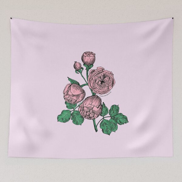 Item preview, Light Pink Pompon Rose Bloom Very Full 40+ Petals In 3+ Rows designed and sold by zenithcreative.