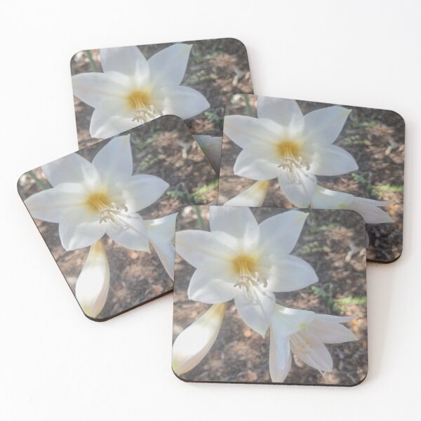 Item preview, lirio blanco designed and sold by Pauline Whitburn.