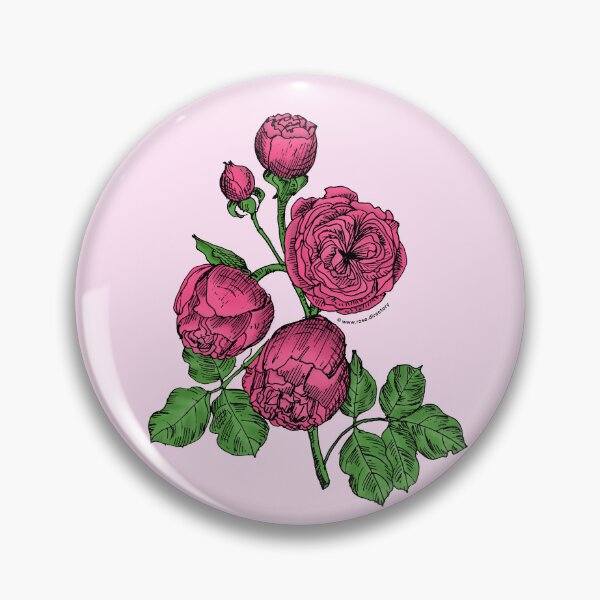 Item preview, Mid Pink Pompon Rose Bloom Very Full 40+ Petals In 3+ Rows designed and sold by Rachael Taylor.