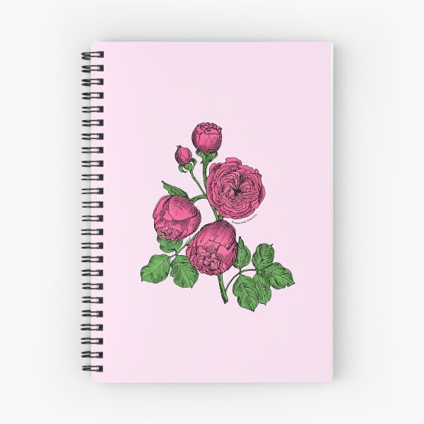 Item preview, Mid Pink Pompon Rose Bloom Very Full 40+ Petals In 3+ Rows designed and sold by Rachael Taylor.