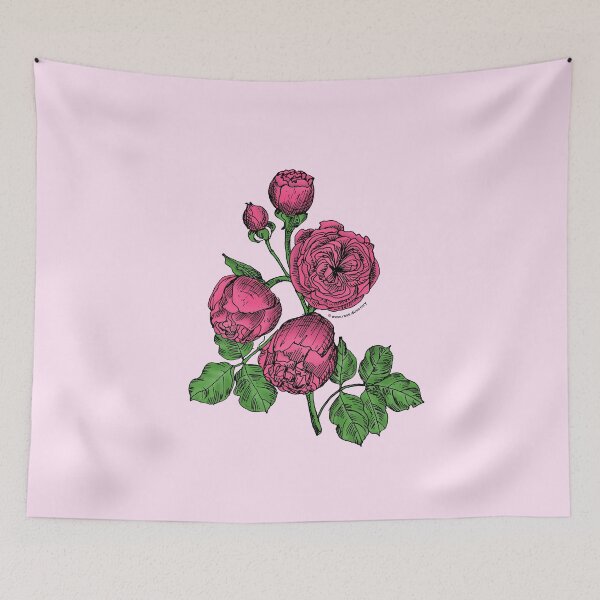 Item preview, Mid Pink Pompon Rose Bloom Very Full 40+ Petals In 3+ Rows designed and sold by zenithcreative.
