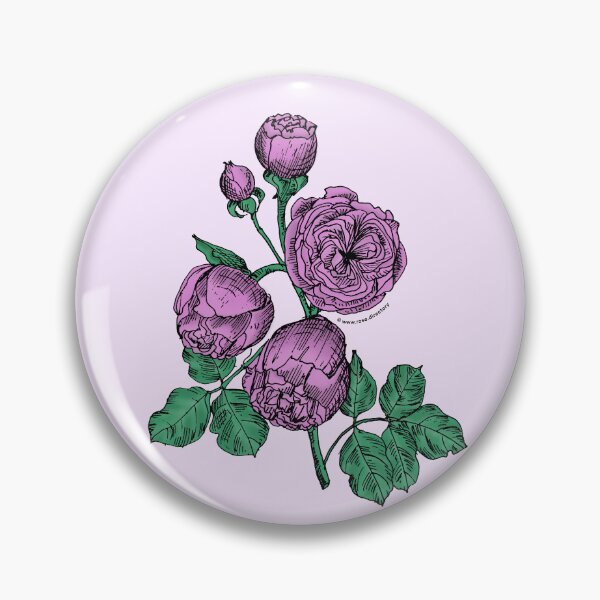 Item preview, Purple Pompon Rose Bloom Very Full 40+ Petals In 3+ Rows designed and sold by Rachael Taylor.