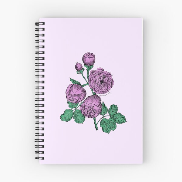 Item preview, Purple Pompon Rose Bloom Very Full 40+ Petals In 3+ Rows designed and sold by Rachael Taylor.