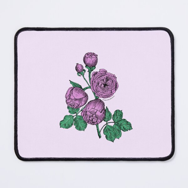 Item preview, Purple Pompon Rose Bloom Very Full 40+ Petals In 3+ Rows designed and sold by Rachael Taylor.