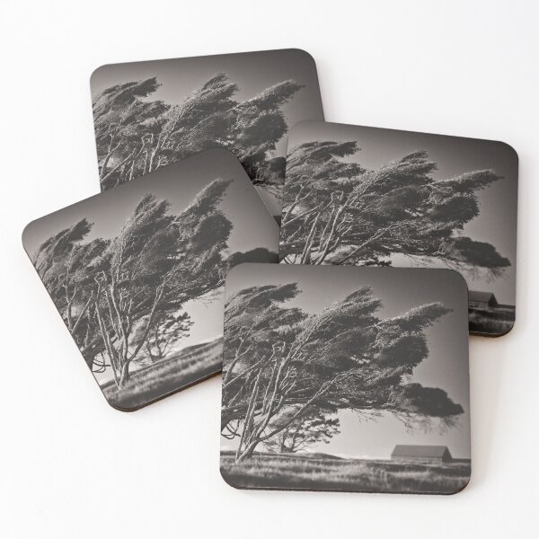 Item preview, Windswept Trees designed and sold by David Bowman.