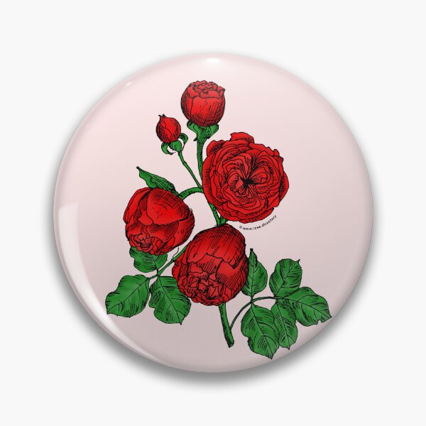 Item preview, Bright Red Pompon Rose Bloom Very Full 40+ Petals In 3+ Rows designed and sold by Rachael Taylor.