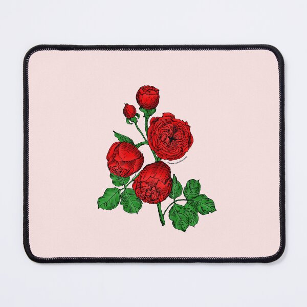 Item preview, Bright Red Pompon Rose Bloom Very Full 40+ Petals In 3+ Rows designed and sold by Rachael Taylor.