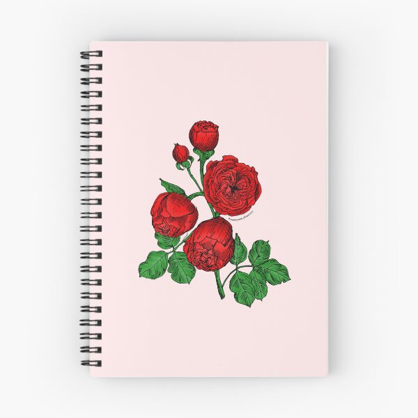 Item preview, Bright Red Pompon Rose Bloom Very Full 40+ Petals In 3+ Rows designed and sold by Rachael Taylor.