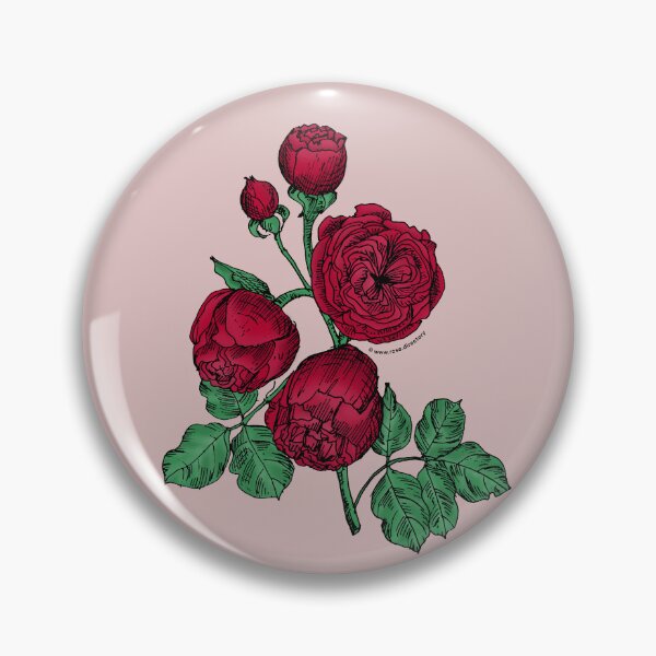 Item preview, Dark Red Pompon Rose Bloom Very Full 40+ Petals In 3+ Rows designed and sold by Rachael Taylor.