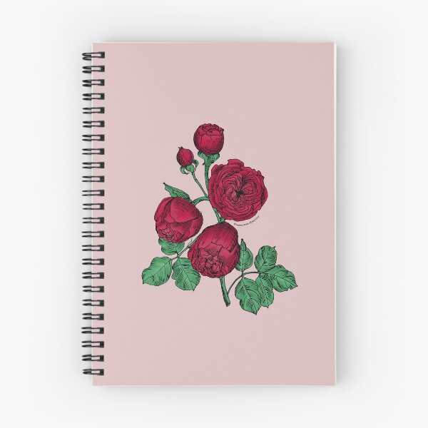 Item preview, Dark Red Pompon Rose Bloom Very Full 40+ Petals In 3+ Rows designed and sold by Rachael Taylor.