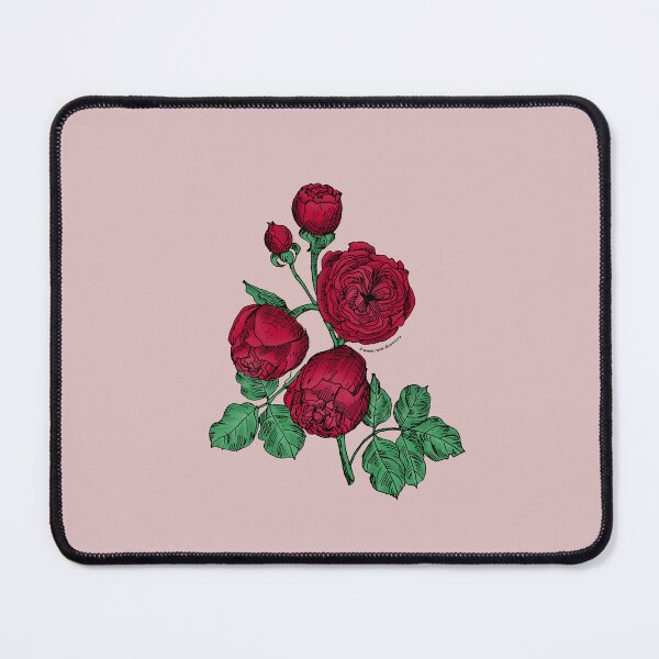 Item preview, Dark Red Pompon Rose Bloom Very Full 40+ Petals In 3+ Rows designed and sold by Rachael Taylor.