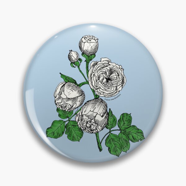 Item preview, White Pompon Rose Bloom Very Full 40+ Petals In 3+ Rows designed and sold by Rachael Taylor.