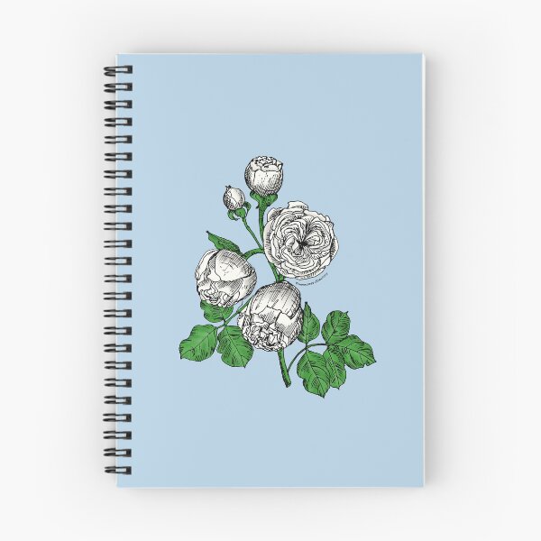 Item preview, White Pompon Rose Bloom Very Full 40+ Petals In 3+ Rows designed and sold by Rachael Taylor.