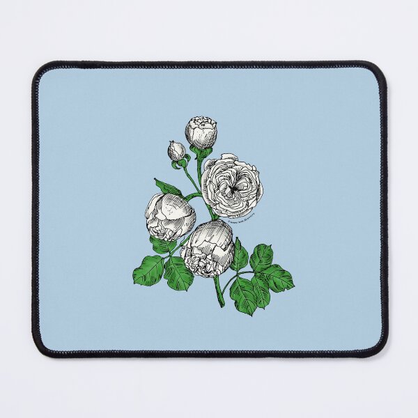 Item preview, White Pompon Rose Bloom Very Full 40+ Petals In 3+ Rows designed and sold by Rachael Taylor.