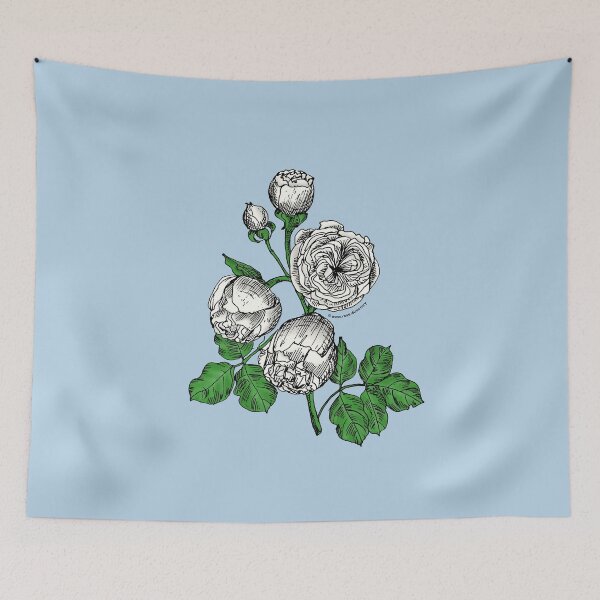 Item preview, White Pompon Rose Bloom Very Full 40+ Petals In 3+ Rows designed and sold by zenithcreative.