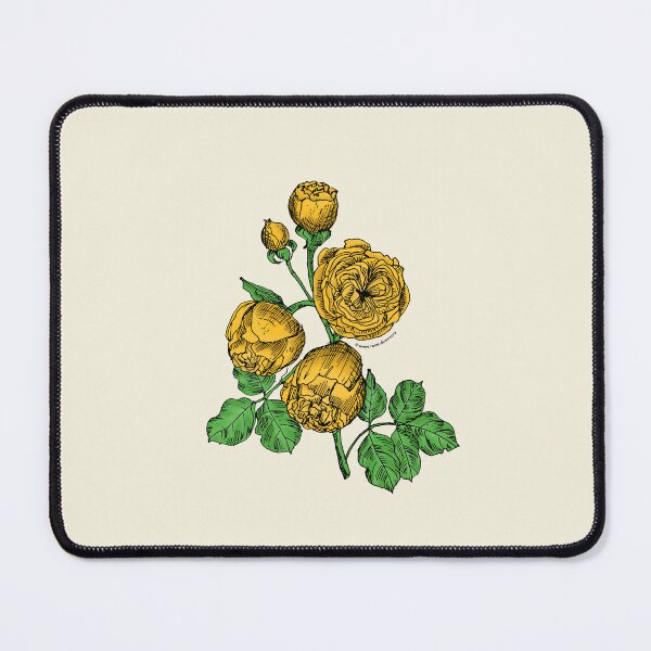Item preview, Yellow Pompon Rose Bloom Very Full 40+ Petals In 3+ Rows designed and sold by Rachael Taylor.