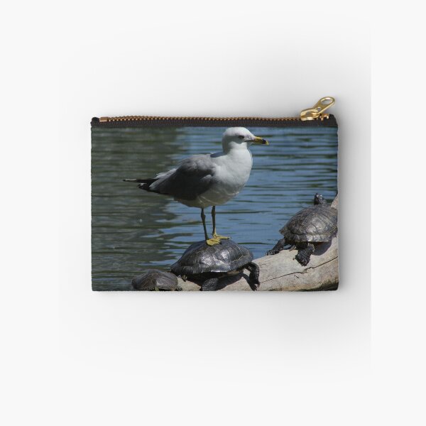 Item preview, Birds and Turtles designed and sold by mvpaskvan.