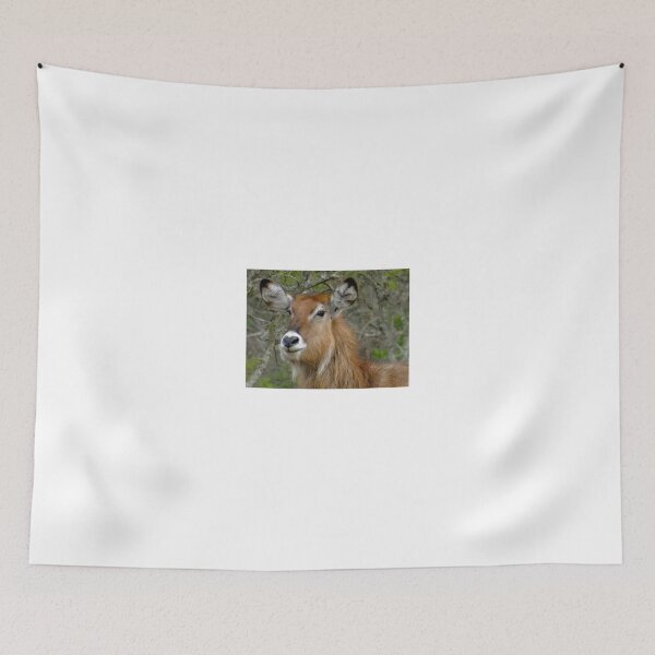 Item preview, I’m Listening designed and sold by exploramum.
