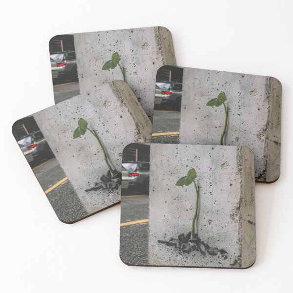 Item preview, Seedling Stencil Graffiti designed and sold by Bomax121.