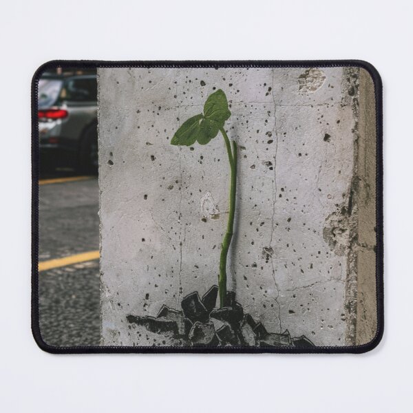 Item preview, Seedling Stencil Graffiti designed and sold by Bomax121.