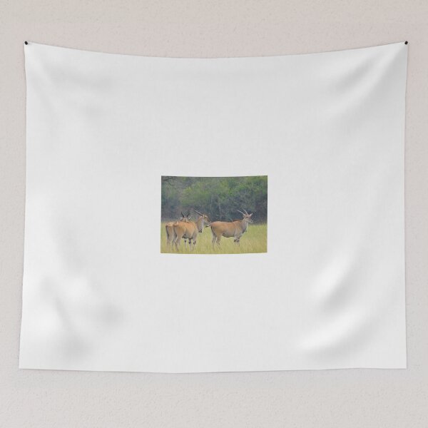 Item preview, Wearing arm bands on our legs designed and sold by exploramum.