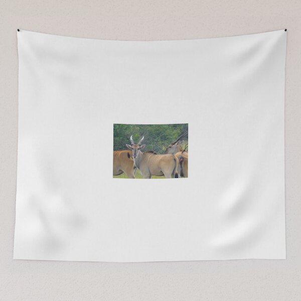 Item preview, Fine Chalk Stripes designed and sold by exploramum.