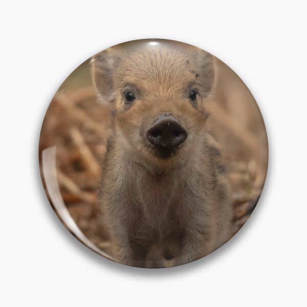 Item preview, Little pig. Wild boar.  designed and sold by JoHackman.