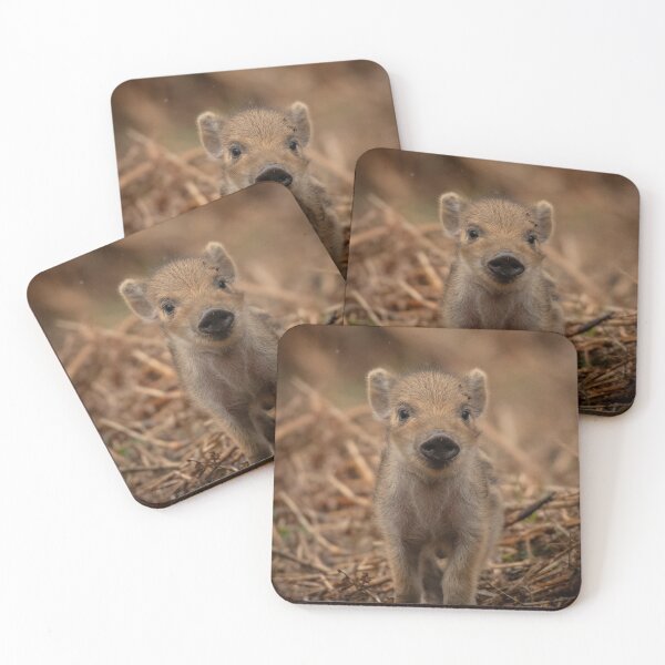 Item preview, Little pig. Wild boar.  designed and sold by JoHackman.