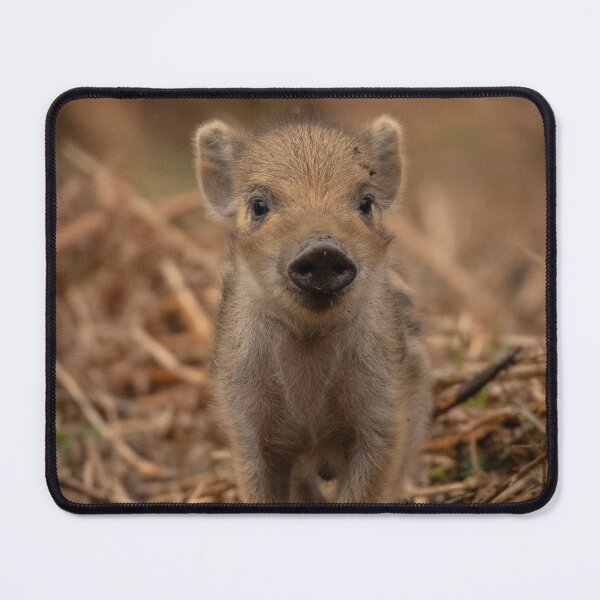 Item preview, Little pig. Wild boar.  designed and sold by JoHackman.