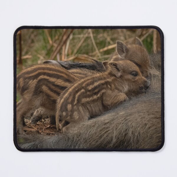 Item preview, All pile on.  designed and sold by JoHackman.
