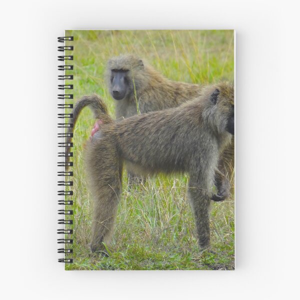 Item preview, Two baboons in the grass designed and sold by exploramum.