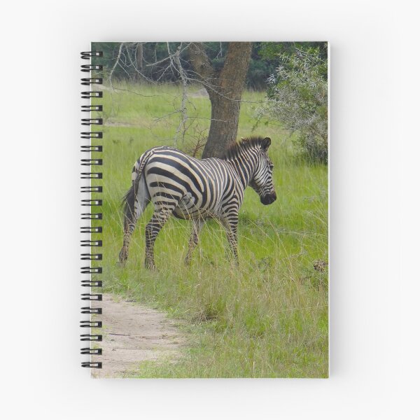 Item preview, Zebra horsing around designed and sold by exploramum.