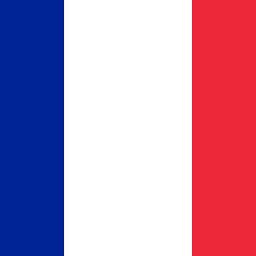 Artwork thumbnail, Official Flag of France by mrawfle